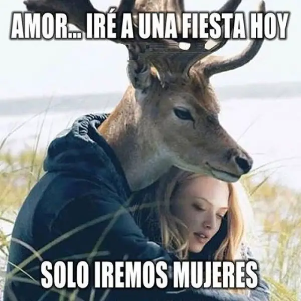 buscar imágenes graciosas de amor