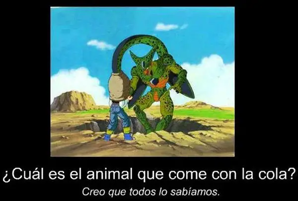 Dragon ball z imágenes graciosas