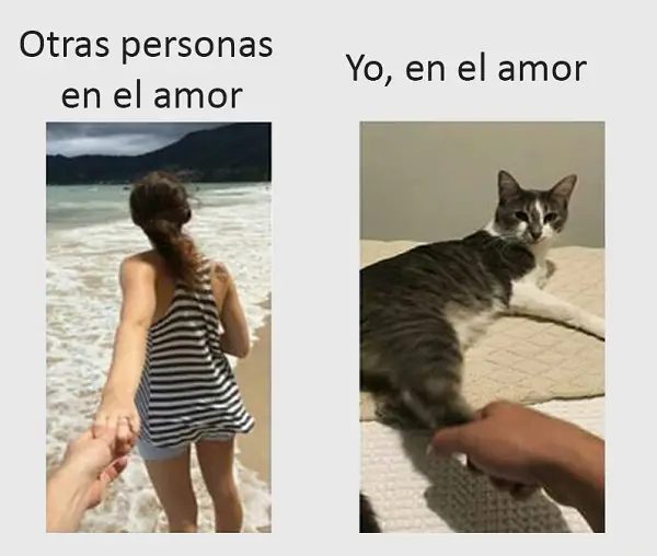 Fotos e imágenes graciosas de amor