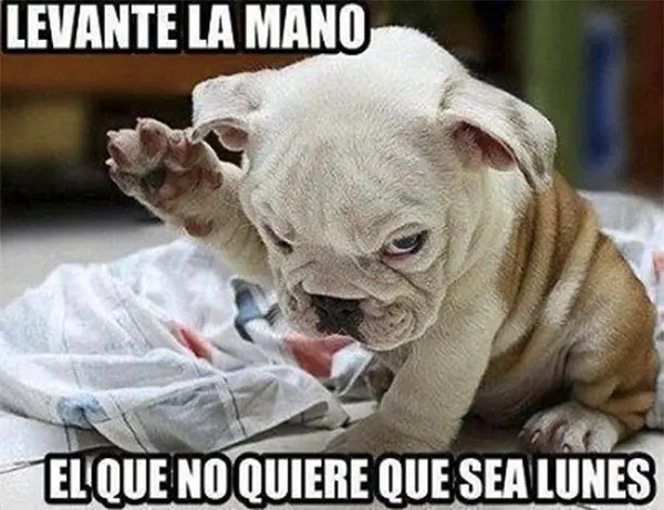 fotos, imágenes, fotos e imágenes, graciosas facebook, fotos graciosas facebook
