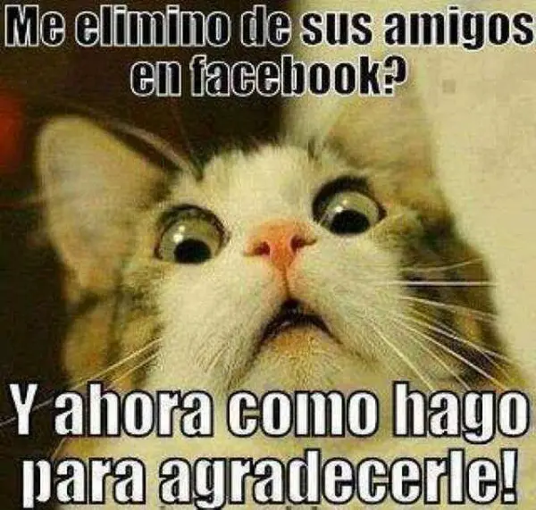 fotos, imágenes, fotos e imágenes, graciosas facebook, fotos graciosas facebook