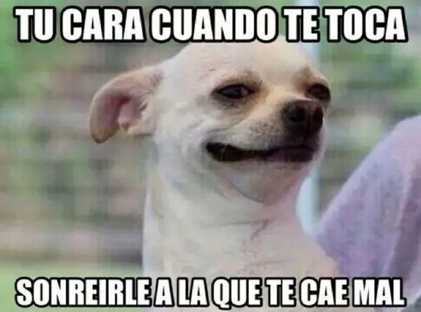 fotos, imágenes, fotos e imágenes, graciosas facebook, fotos graciosas facebook