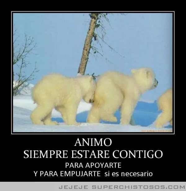 Fotos graciosas de amor a prueba