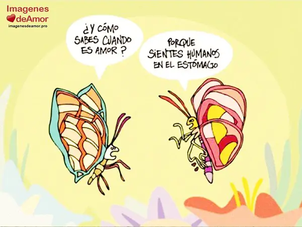 fotos graciosas de amor gratis