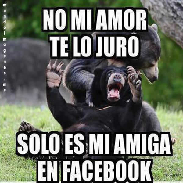 Fotos graciosas de amor para el facebook