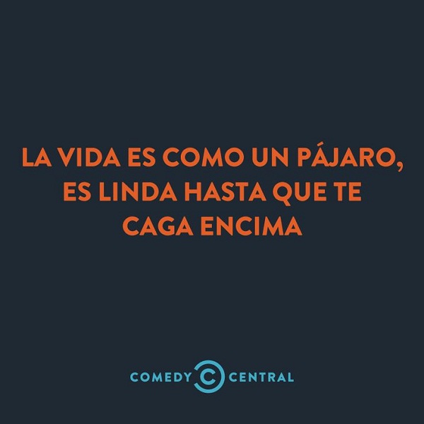 Frases e imágenes graciosas de la vida