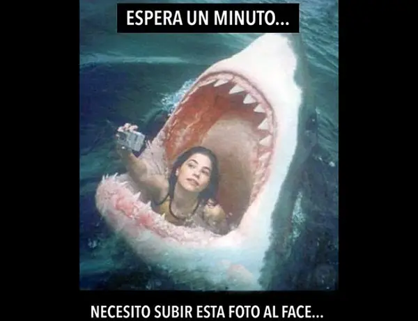 Frases e imágenes graciosas para el muro de facebook