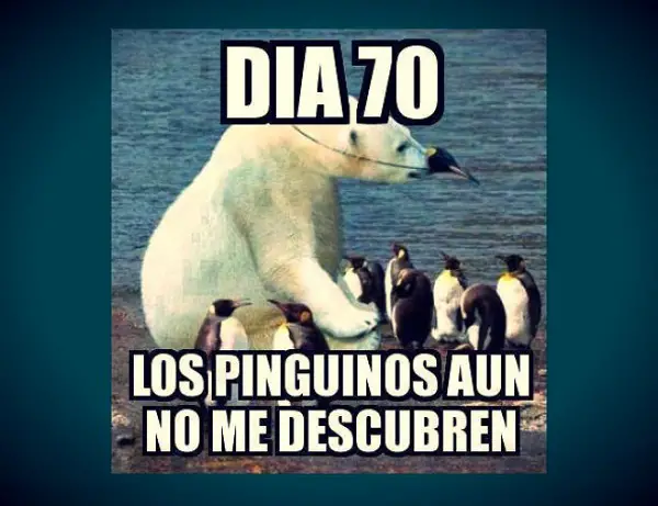 Frases e imágenes graciosas para el muro de facebook