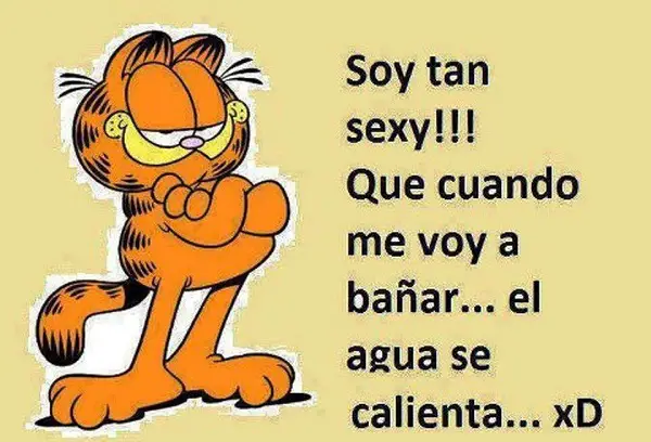 Frases e imágenes graciosas para facebook