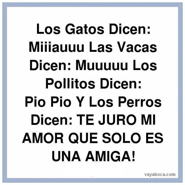 Frases e imágenes graciosas para facebook