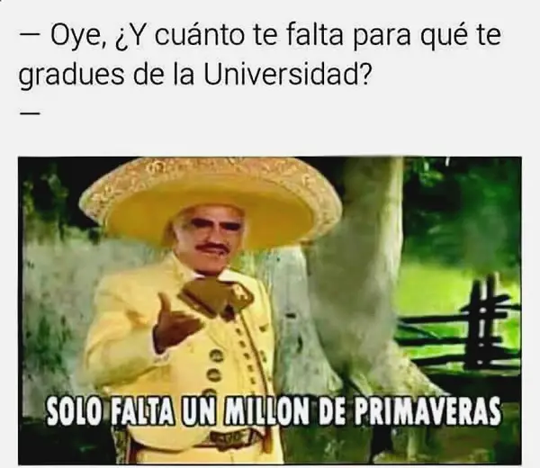 Frases e imágenes graciosas para tu muro facebook