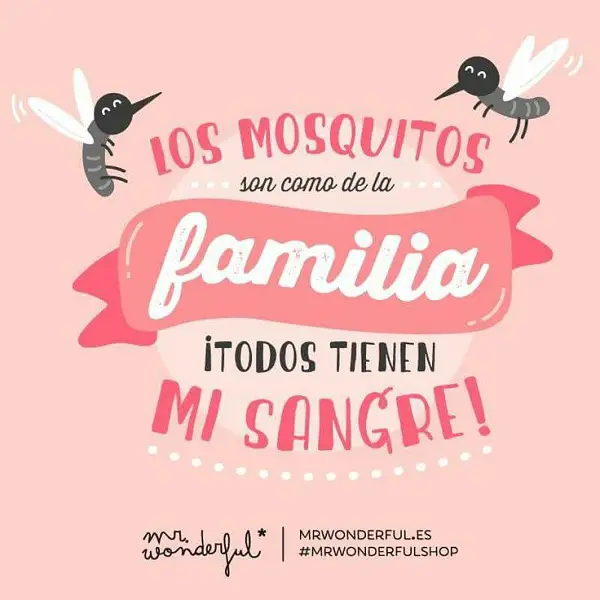 Frases e imágenes graciosas para tu muro facebook