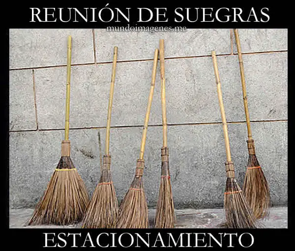 Frases e imágenes graciosas para tu muro facebook