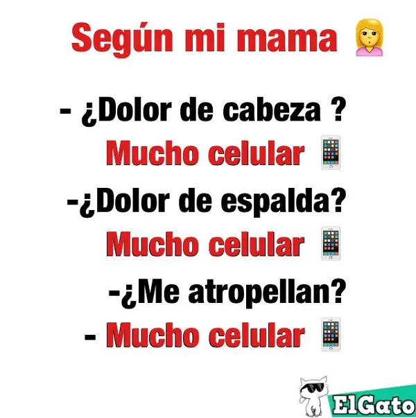 Frases e imágenes graciosas para whatsapp