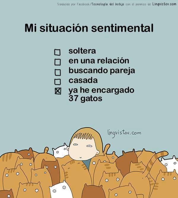Imágenes bonitas de amor amistad graciosas y divertidas