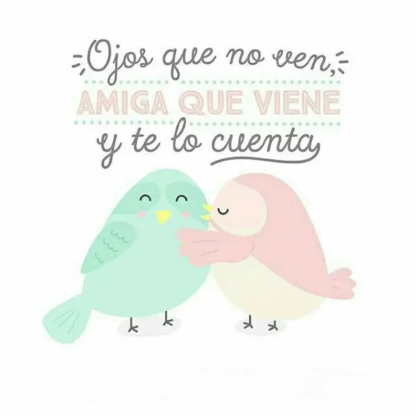 Imágenes bonitas de amor amistad graciosas y divertidas