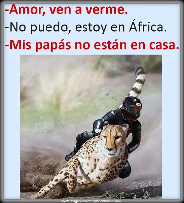 Imágenes de graciosas de amor