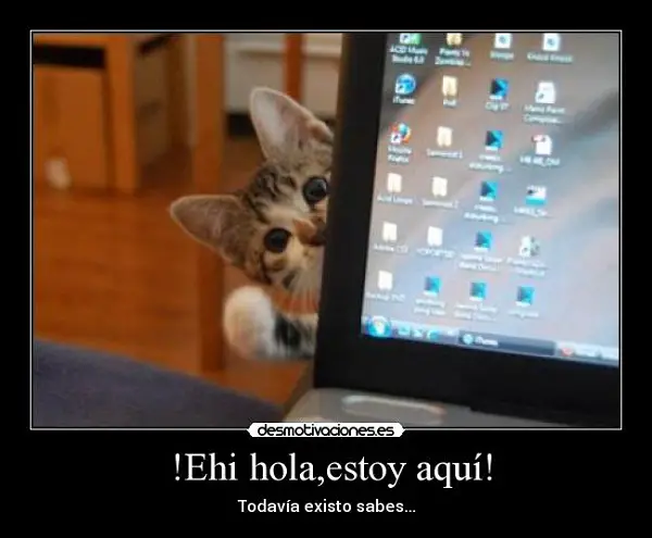 Imágenes graciosas aca estoy