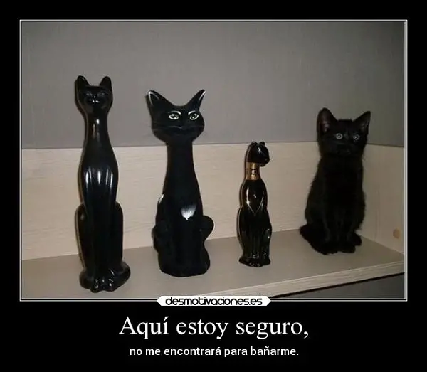 Imágenes graciosas aca estoy