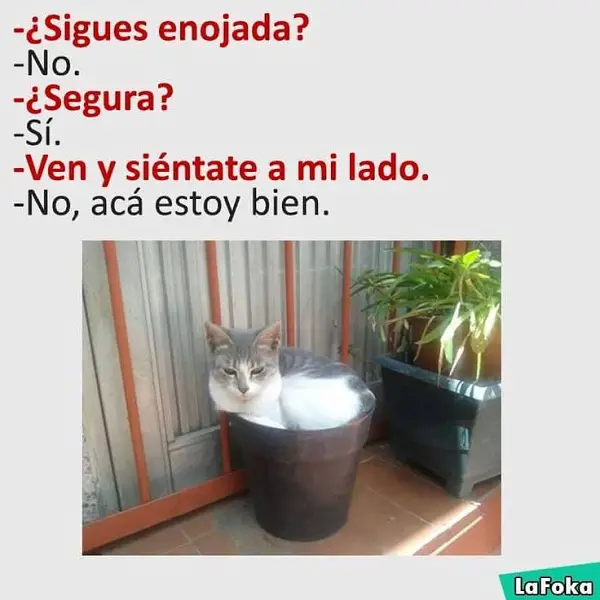 Imágenes graciosas aca estoy