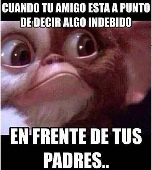Imágenes graciosas amigos