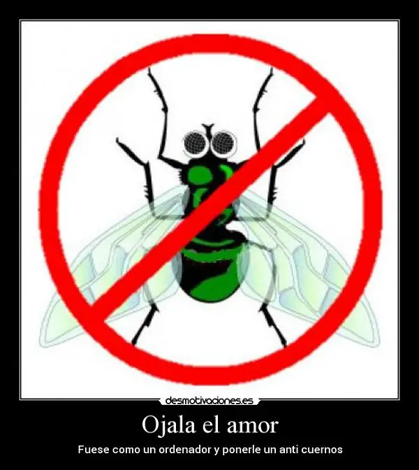 Imágenes graciosas anti amor