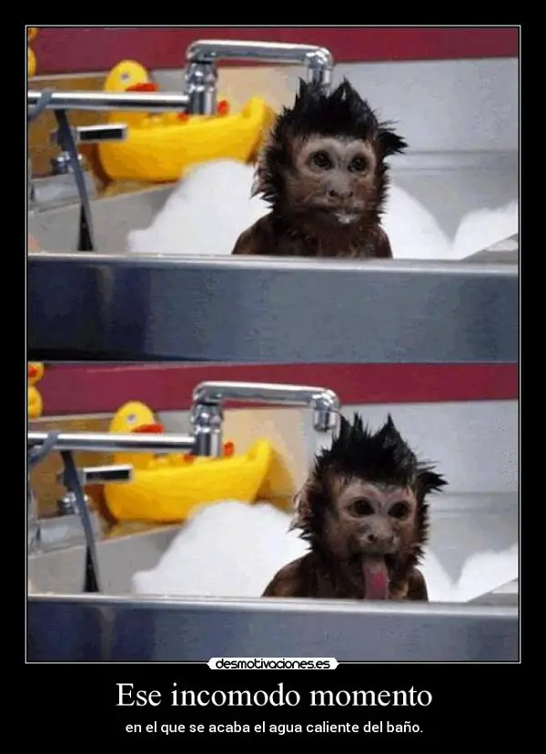 Imágenes graciosas bañándose
