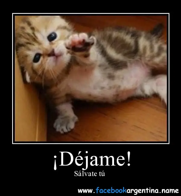 imágenes, graciosas, imágenes graciosas, bonitas, imágenes graciosas bonitas