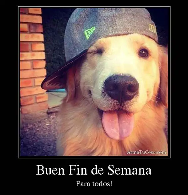 Imágenes graciosas buen fin de semana