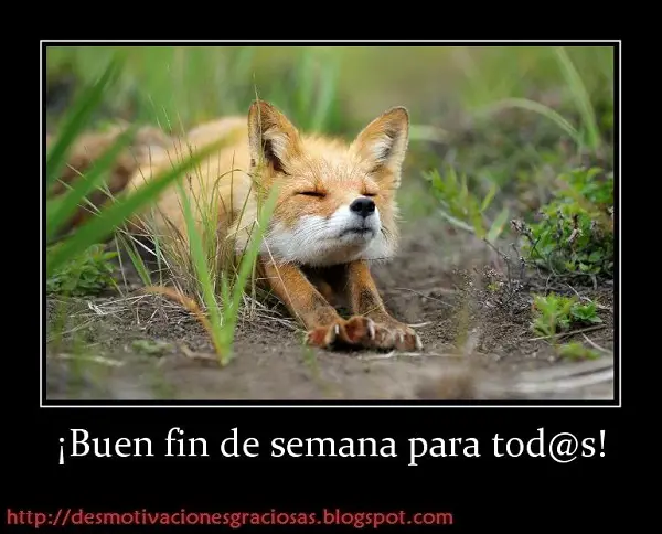 Imágenes graciosas buen fin de semana