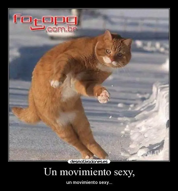 Imágenes graciosas de amor con movimiento