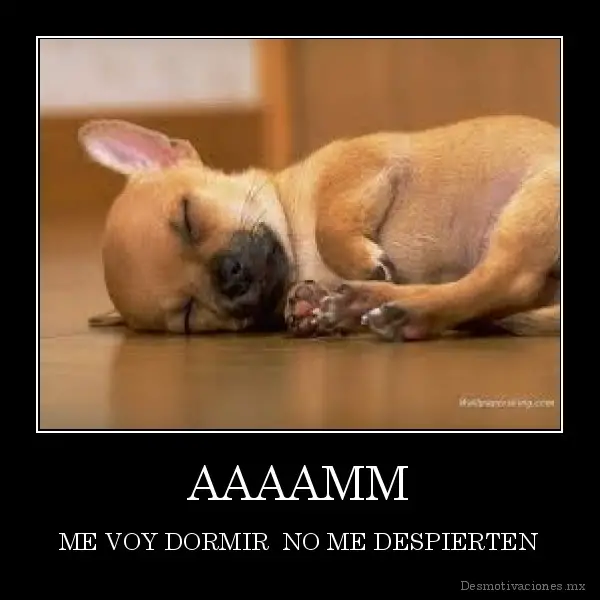 Imágenes graciosas de buenas noches gratis