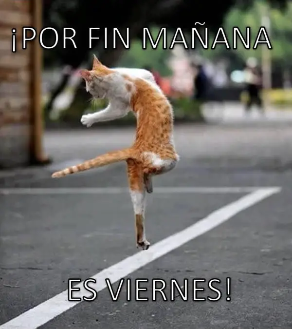 Imágenes graciosas feliz jueves
