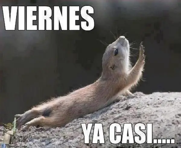 Imágenes graciosas feliz jueves