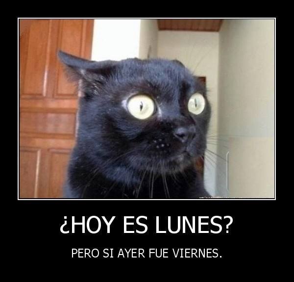 imágenes graciosas feliz lunes