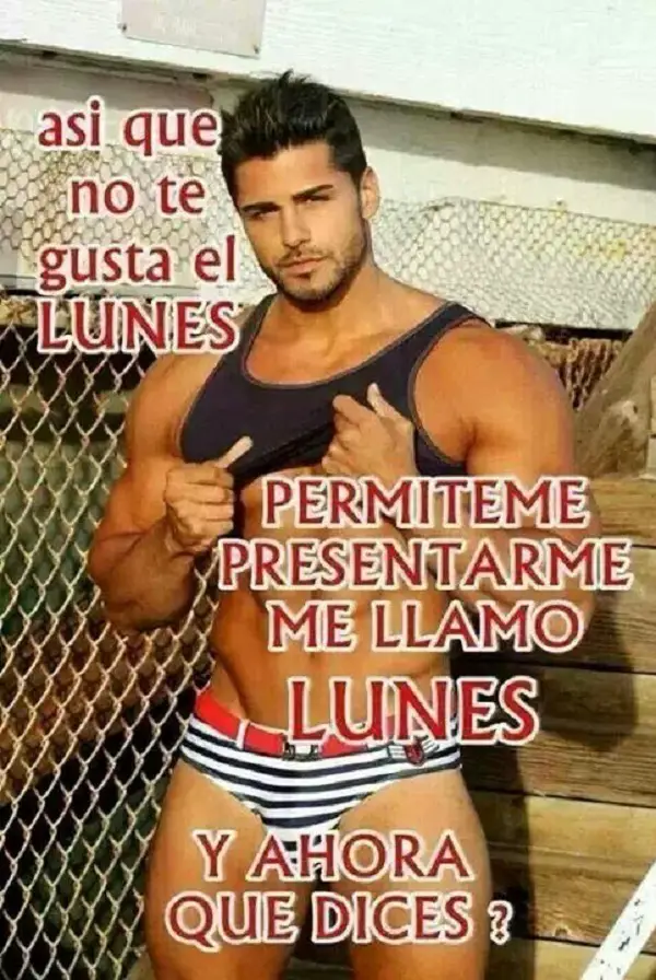 imágenes graciosas feliz lunes