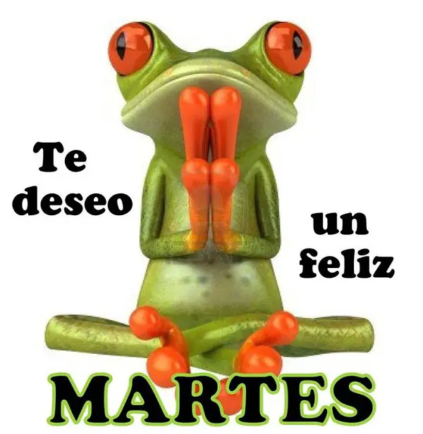 imágenes graciosas feliz martes