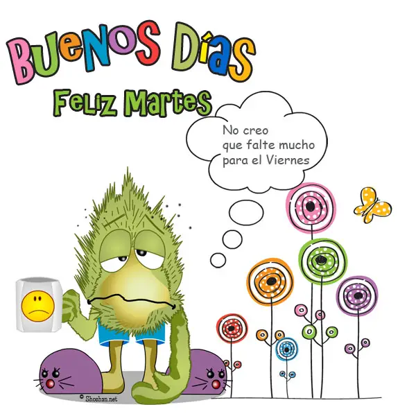 imágenes graciosas feliz martes