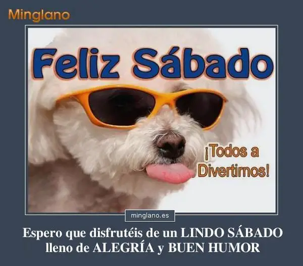 imágenes graciosas feliz sábado