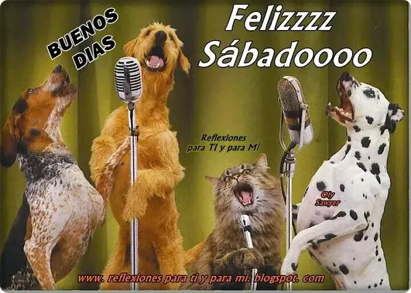 imágenes graciosas feliz sábado