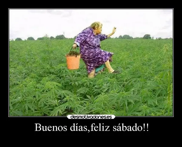 imágenes graciosas feliz sábado