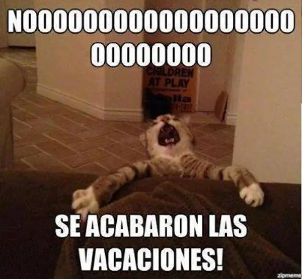 Imágenes graciosas fin de vacaciones