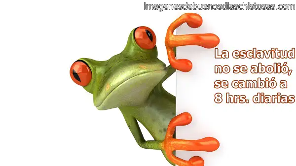 Imágenes graciosas gratis para descargar