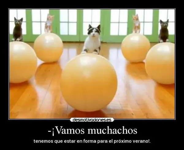 Imágenes graciosas haciendo deporte