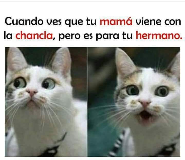 Fotos e imágenes graciosas