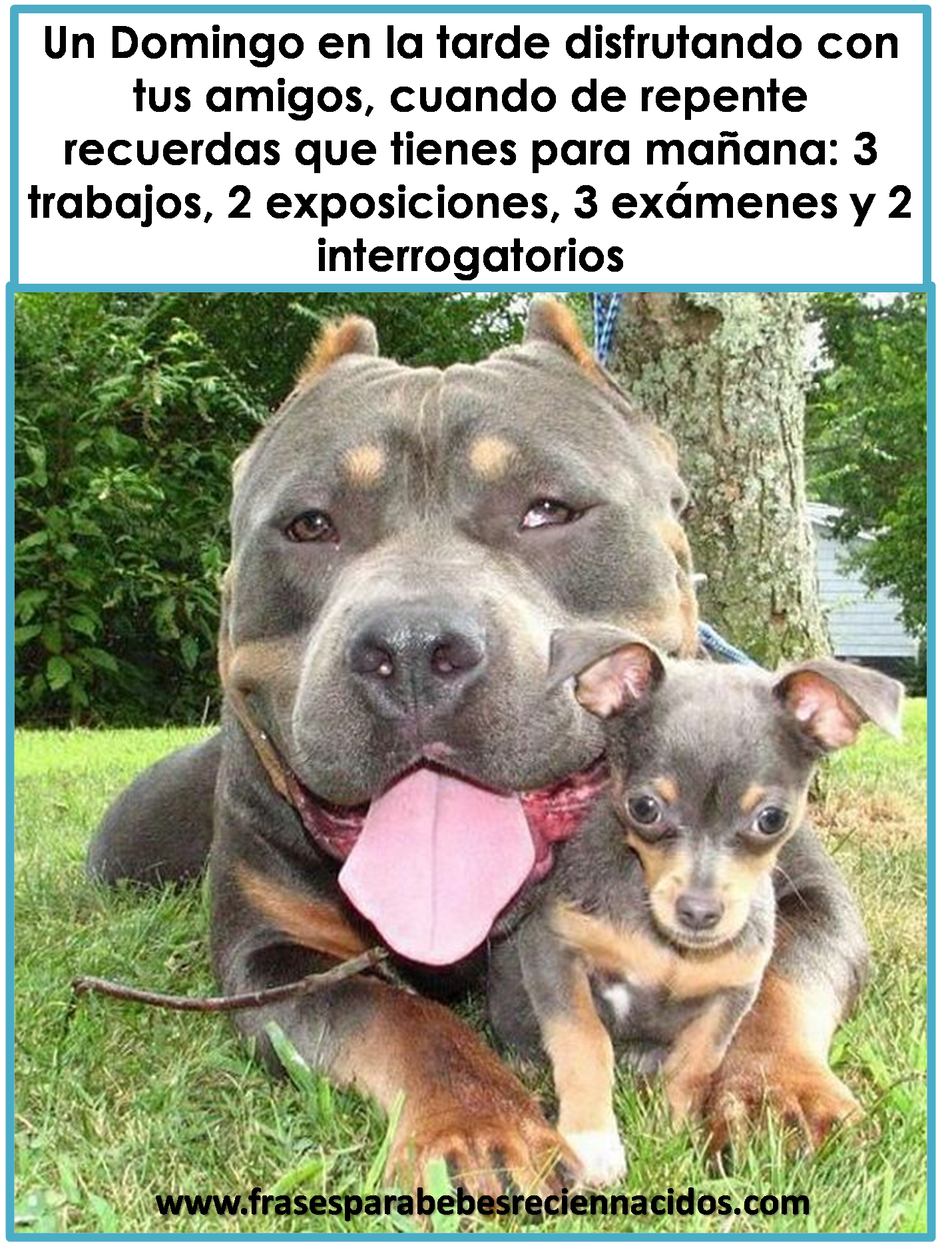 Fotos e imágenes graciosas