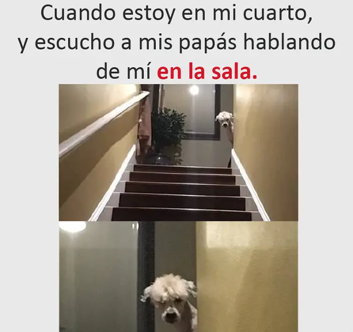 Fotos e imágenes graciosas