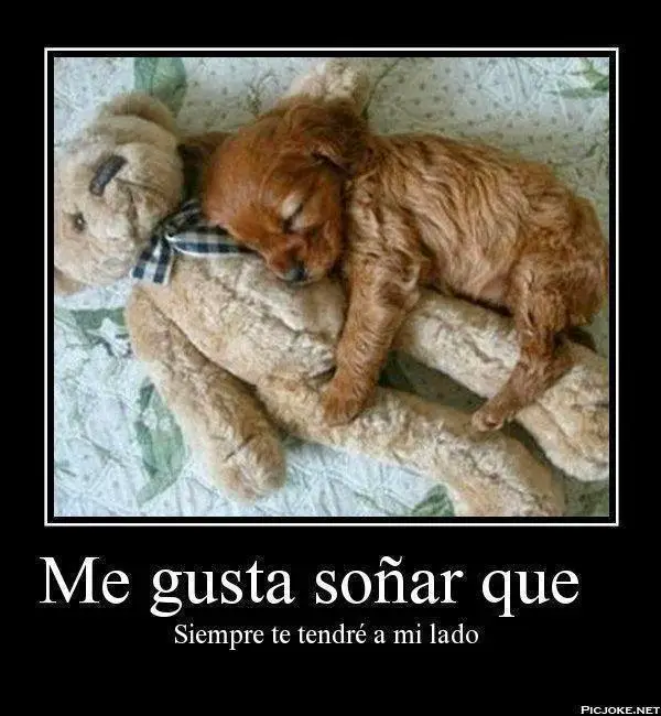 Fotos graciosas de amor para descargar