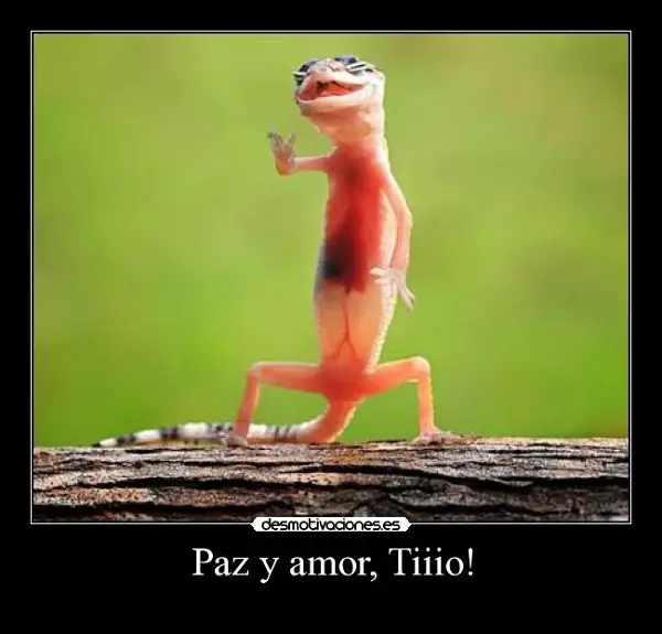 fotos graciosas de amor y paz