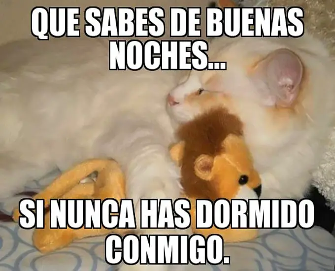 Imágenes de graciosas buenas noches